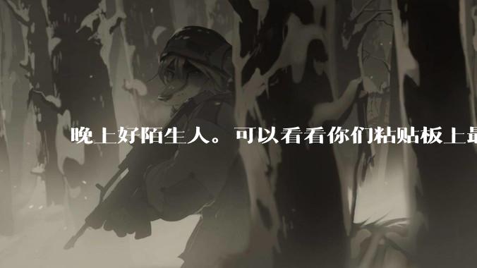 晚上好陌生人。可以看看你们粘贴板上最近一次复制了什么吗?